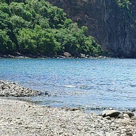 Les Cactus Διαμέρισμα Bellefontaine Δωμάτιο φωτογραφία