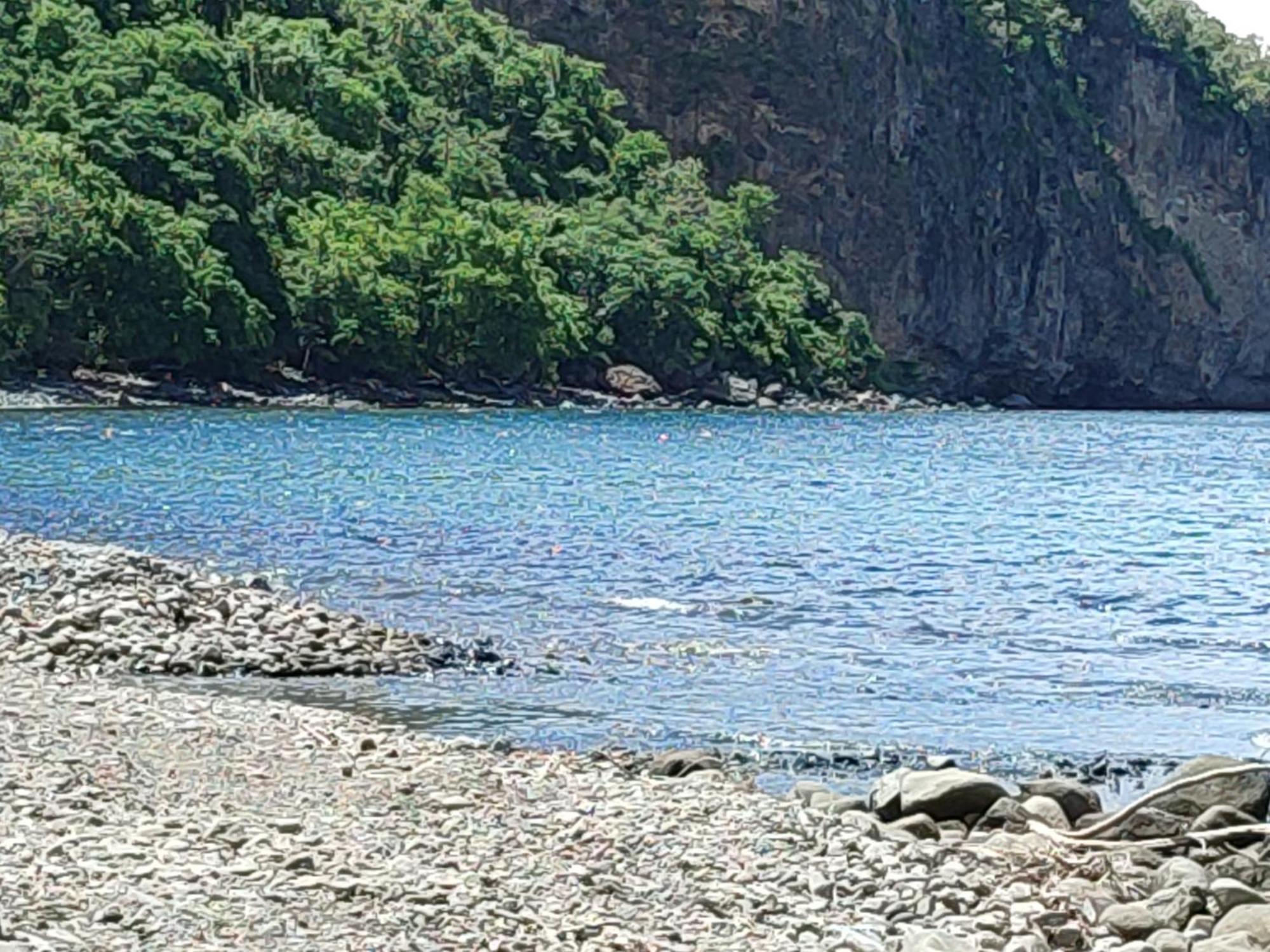Les Cactus Διαμέρισμα Bellefontaine Δωμάτιο φωτογραφία